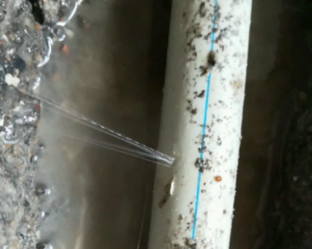 饶河卫生间测漏水多少钱