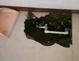 饶河卫生间测漏水多少钱